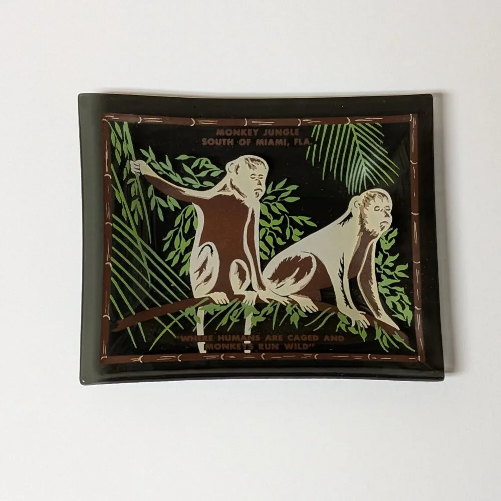 Vintage Monkey Jungle Glass Souvenir Dish Miami Florida Green Brown Chimp Zoo - Picture 1 of 6